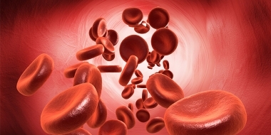 PRF (Platelet-Rich Fibrin)